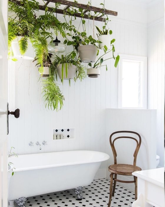 Cuarto de baño con una tina blanca y una silla de color café que adornan el suelo mientras que las plantas de diferentes tipos cuelgan sobre la tina 