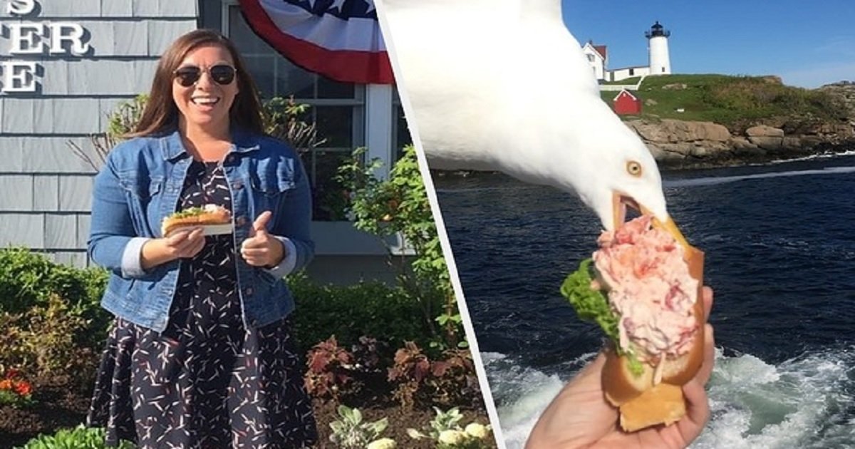 l3.jpg?resize=1200,630 - Woman Taking A Scenic Photo With Her $21 Lobster Roll Captured The Perfect Moment Of A Seagull Stealing It