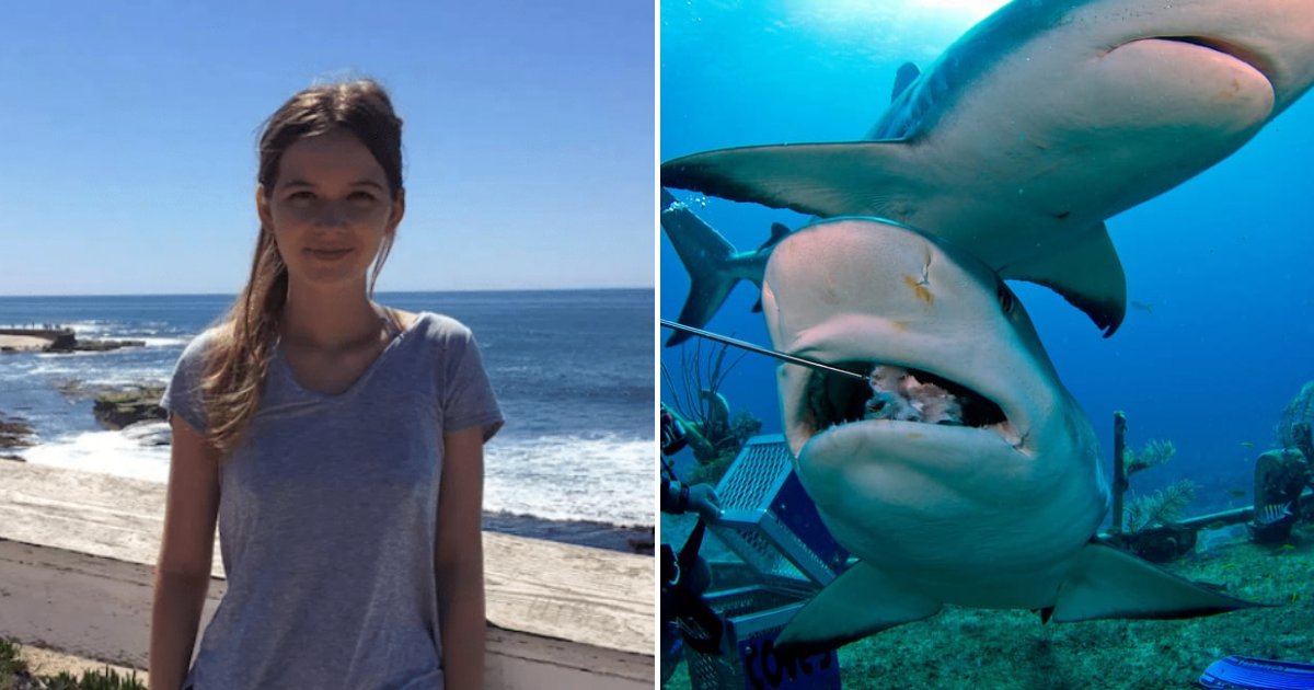 lindsey5.png?resize=1200,630 - Une touriste de 21 ans est décédée après être tombée nez à nez avec des requins lors d'une plongée