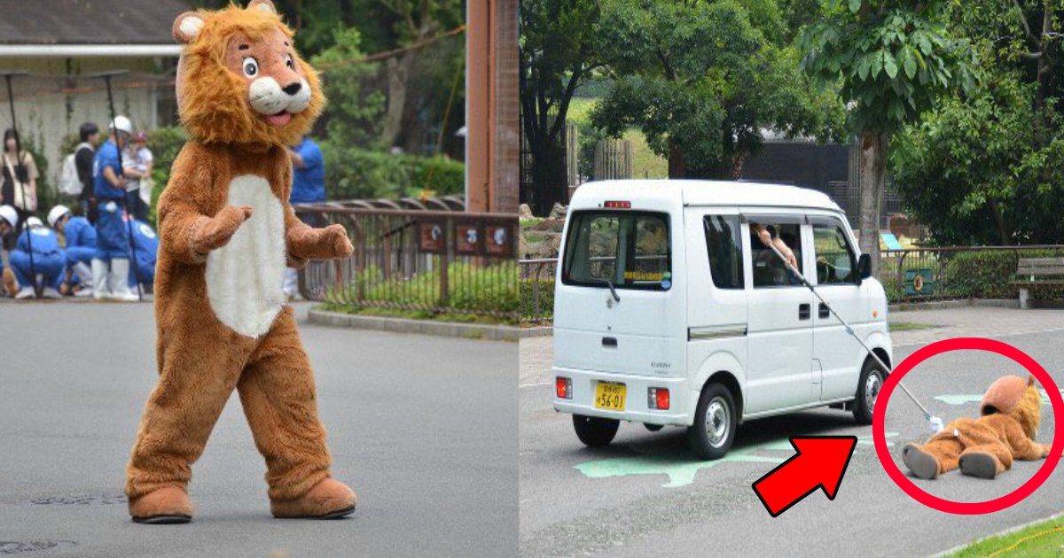 lion.png?resize=412,275 - 愛媛の動物園のライオン捕獲訓練がツッコミどころ満載？「誰が見ても人じゃん」