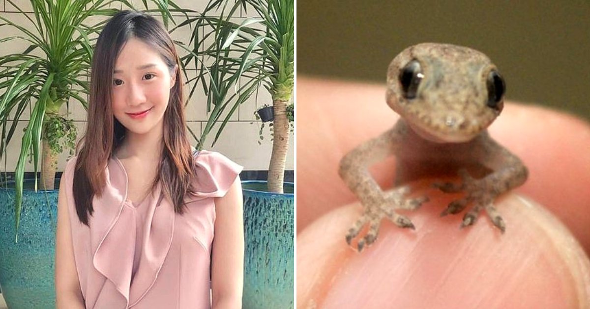 lizard3.png?resize=412,275 - Une femme qui se plaignait de douleurs à l'oreille a découvert qu'un lézard vivait dans sa tête