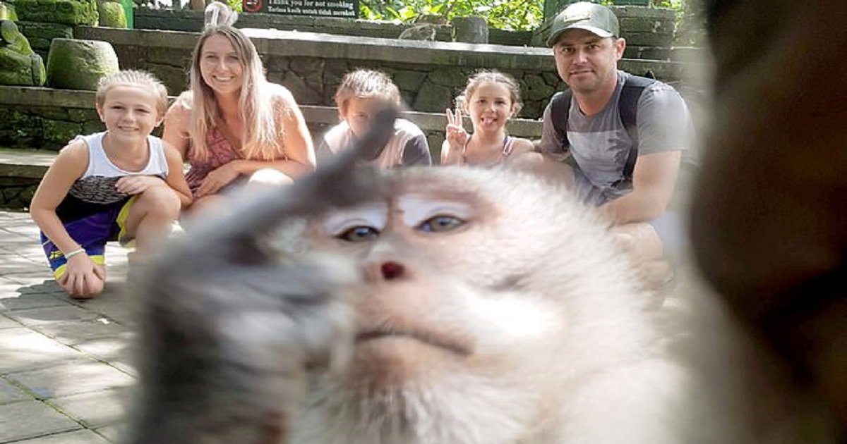 m3 1.jpg?resize=412,275 - Un singe s'incruste sur une photo de famille en saisissant l'appareil photo puis en retournant son doigt pour le selfie d'une vie