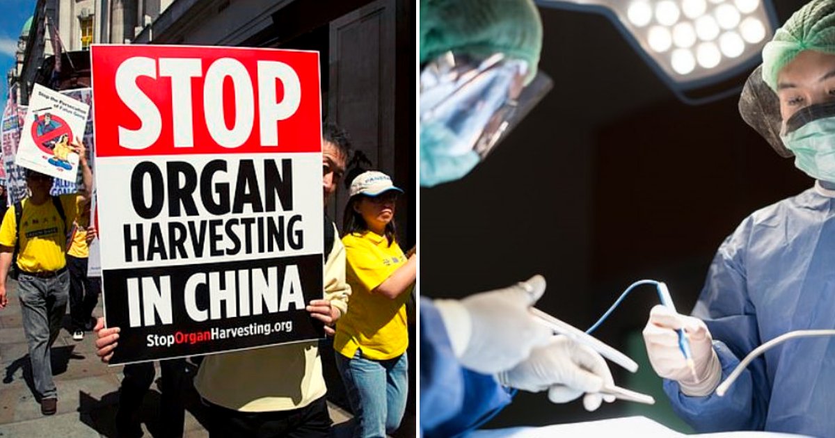organs6.png?fit=1024%2C538&ssl=1&strip=all - China Still Harvests Organs Of Detainees, Victims Include Followers Of Religious Spiritual Practice