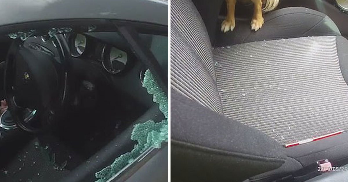 police rescued dog hot car.jpg?resize=1200,630 - Un policier a brisé une fenêtre de voiture pour sauver un chien à l'intérieur d'une voiture en plein soleil