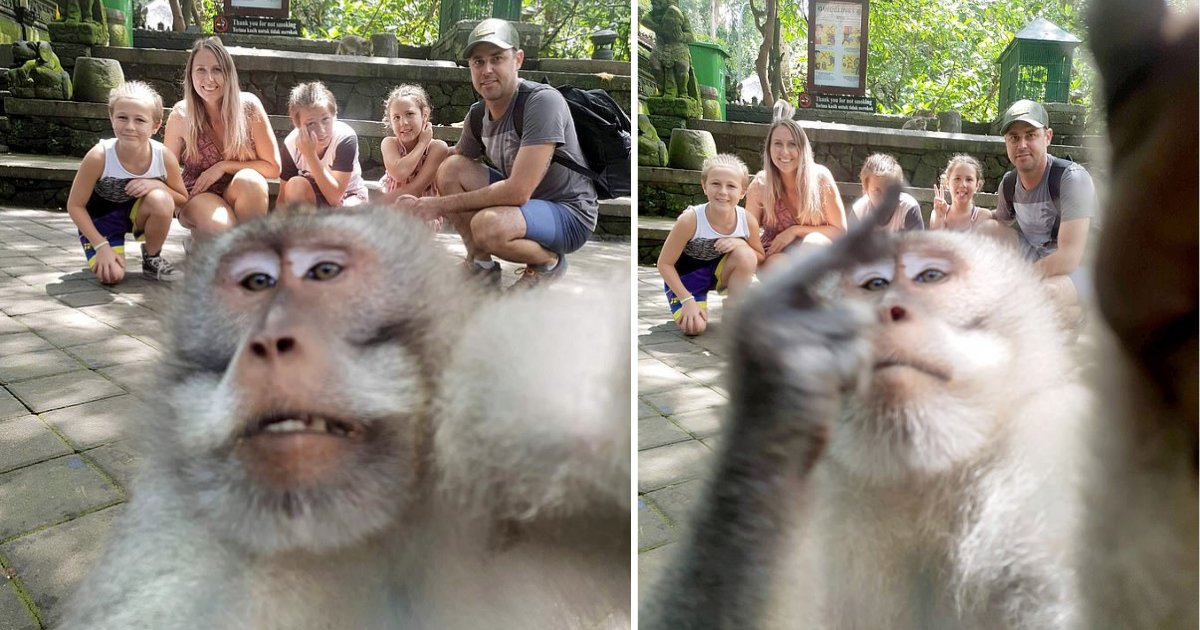 s3 10.png?resize=1200,630 - Un singe saisit l'appareil photo pendant qu'une famille prenait des photos à Bali et leur fait un doigt d'honneur