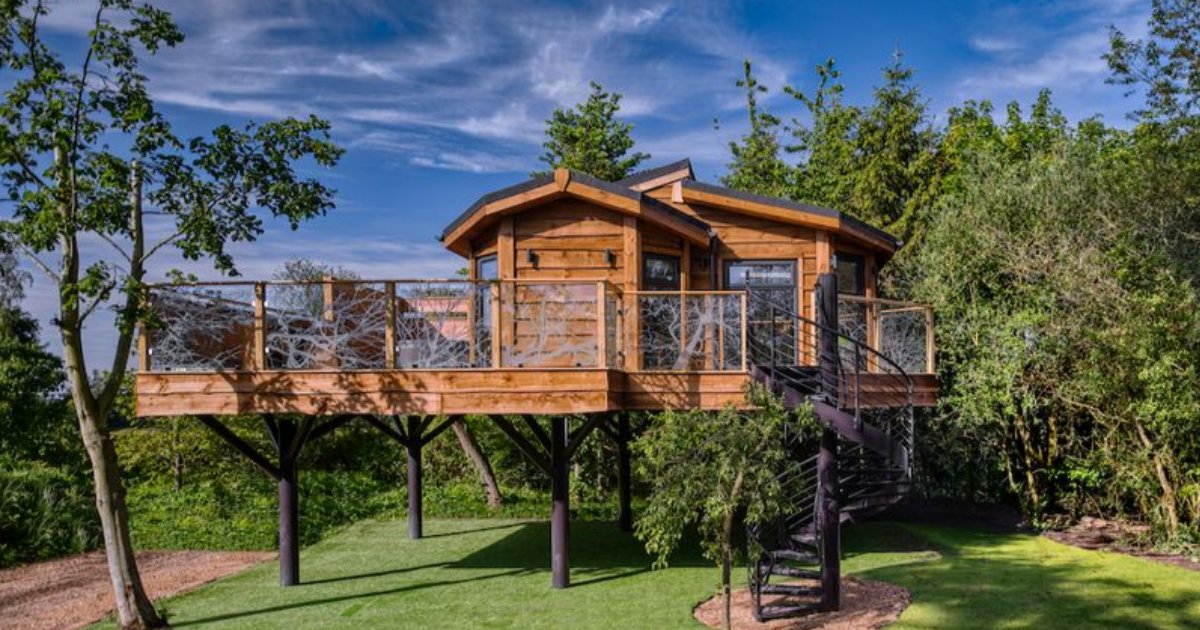 s3 11.png?resize=1200,630 - This Beautiful Tree House Will Give You The Experience of the Most Luxurious Vacation