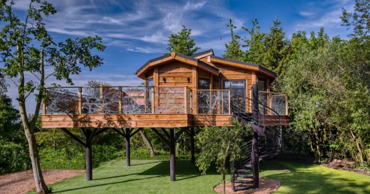 s3 11.png?resize=412,275 - This Beautiful Tree House Will Give You The Experience of the Most Luxurious Vacation