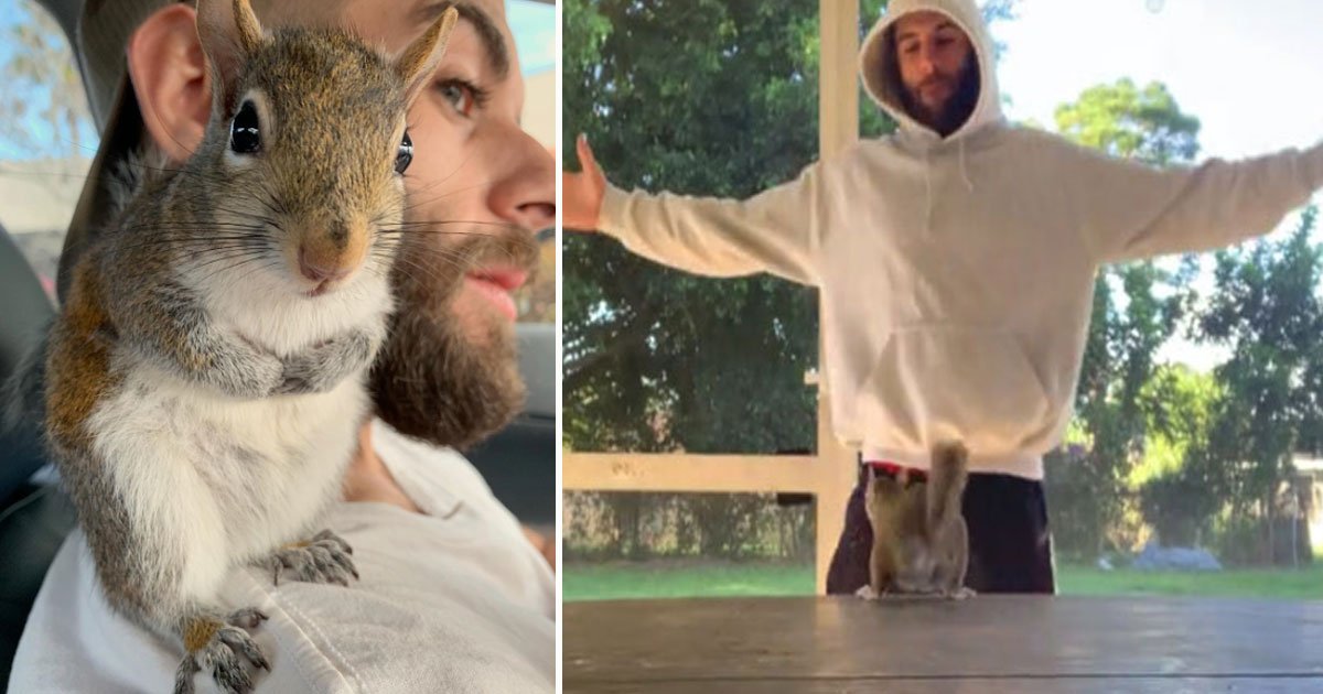 squirrel playing onwer.jpg?resize=412,232 - Video Of A Pet Squirrel Playing With Its Owner Will Melt Your Heart