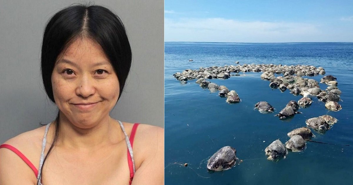 t3 3.jpg?resize=412,232 - Une femme arrêtée pour avoir "piétiné" un nid de tortues de mer