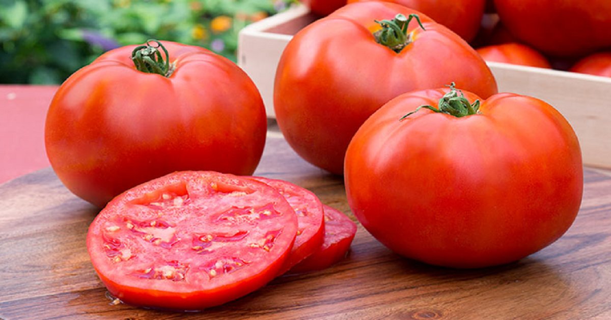 t3.png?resize=412,275 - 6 Health Benefits Of Eating Tomatoes That You Didn't Know