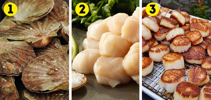 Cómo elegir mariscos que se pueden comer sin riesgo para la salud