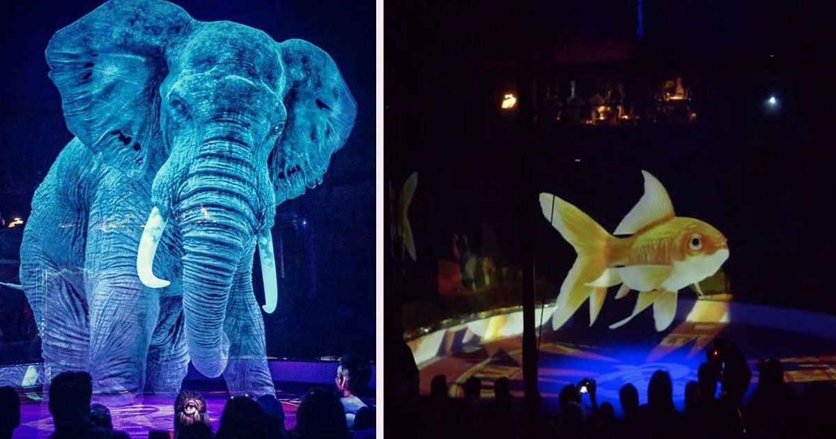 untitled 1 10.jpg?resize=412,275 - German Circus Uses 3D Holograms Instead Of Real Animals For A Cruelty-Free Show