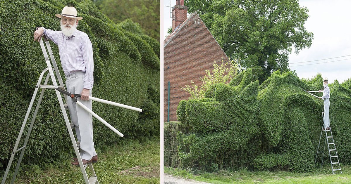untitled 1 11.jpg?resize=412,275 - A Gentleman Spent 10 Years Turning 150-Ft-Long Hedge Into A Giant Dragon