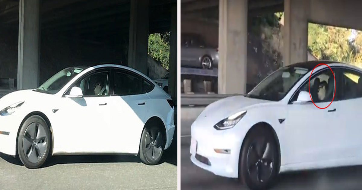 untitled 1 39.jpg?resize=412,275 - A Man Was Captured 'Sleeping' Behind The Wheel Of His Autopilot Tesla In The Middle Of Rush Hour