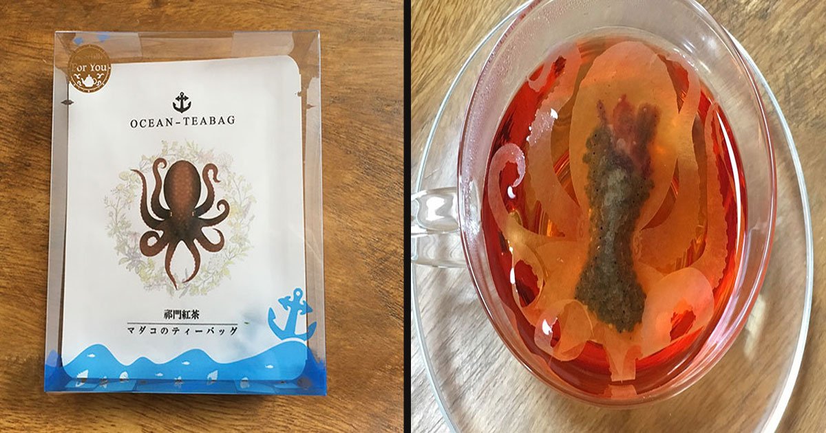 untitled 1 50.jpg?resize=412,275 - These Adorable Ocean Tea Bags 'Come To Life' In Your Cup