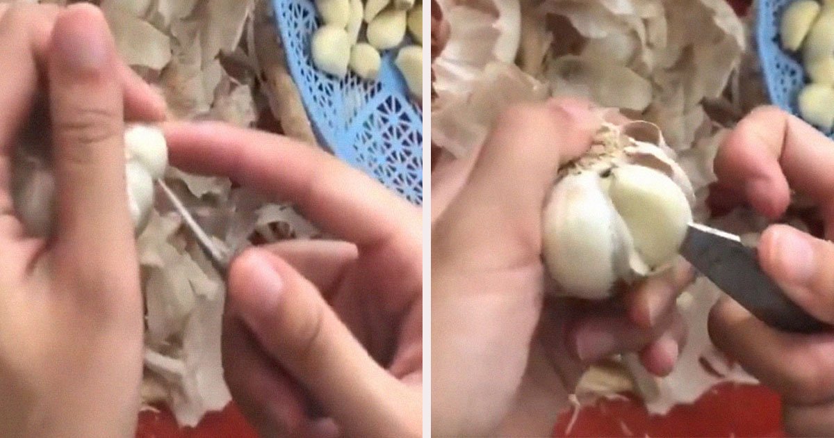 untitled 1 51.jpg?resize=412,275 - Garlic Peeling Hack: You've Been Doing It Wrong This Whole Time