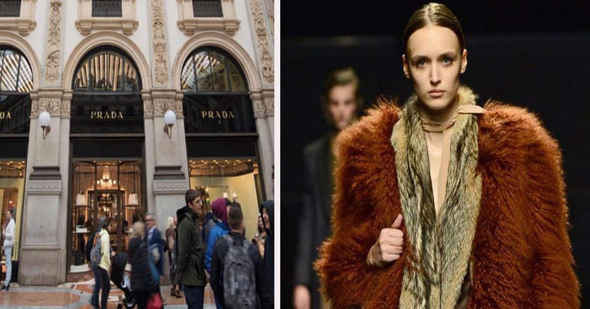 untitled 1 8.jpg?resize=412,275 - The Italian Luxury Fashion House ‘Prada’ Announced It Is To Go Fur-Free