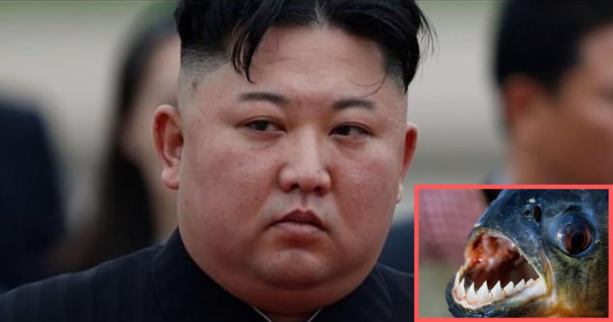 y1 5.png?resize=1200,630 - Kim Jong-Un jette un général dans un bassin rempli de Piranha...