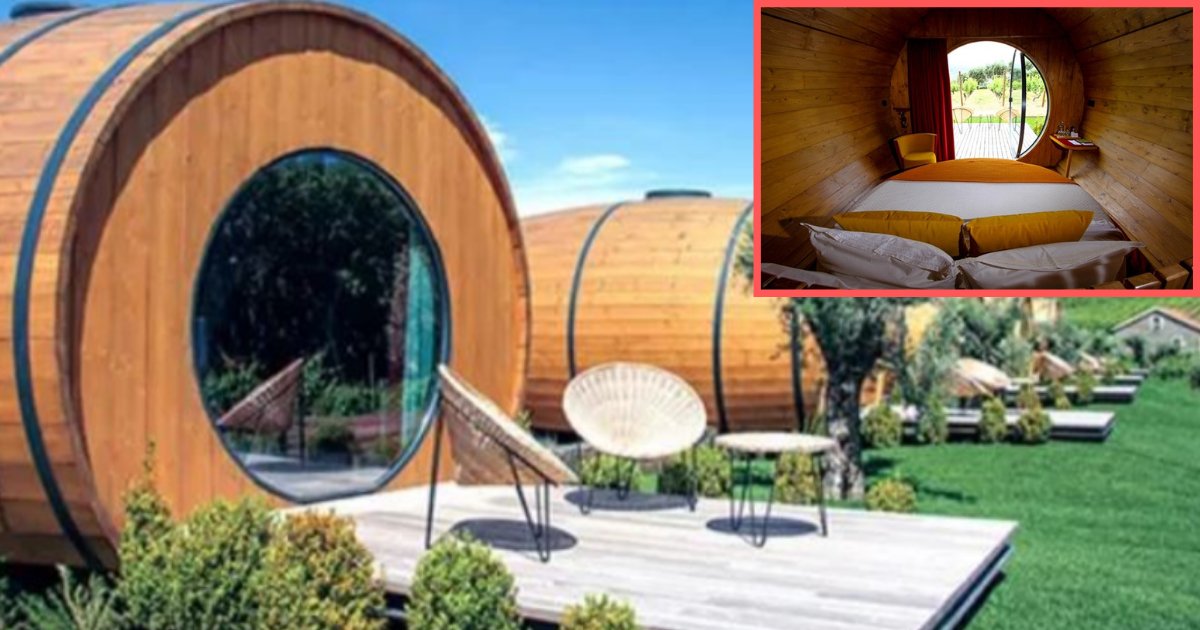 y2 11.png?resize=1200,630 - You Can Now Stay In A Wine Barrel Overnight And Drink Wine All Day In Portugal Resort