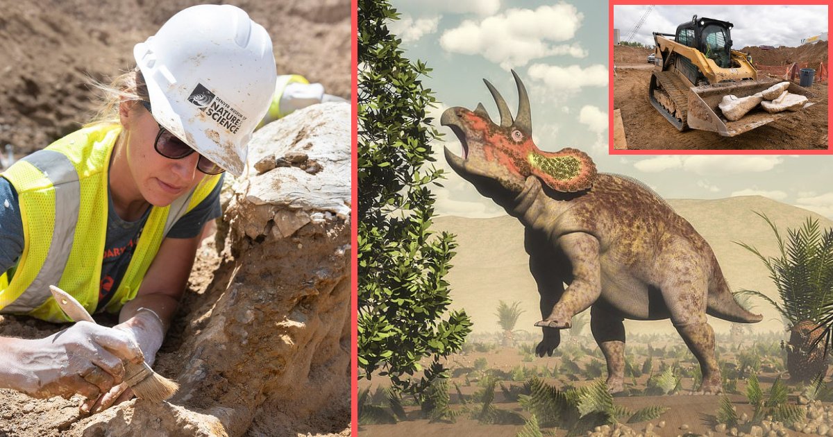 y2 18.png?resize=1200,630 - Un ouvrier du bâtiment a accidentellement retrouvé des os de dinosaure vieux de 68 millions d'années