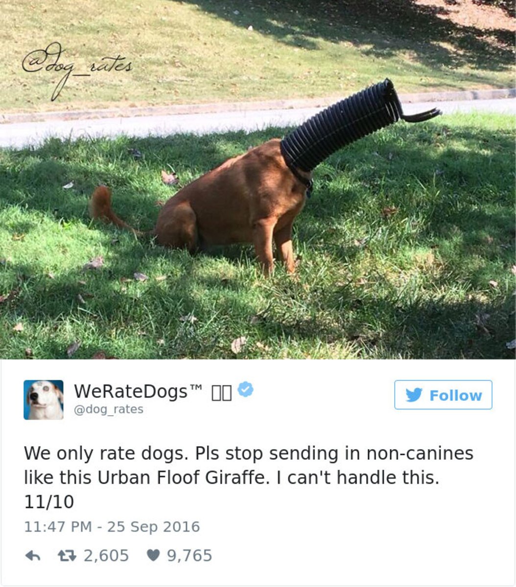 @dog_rates