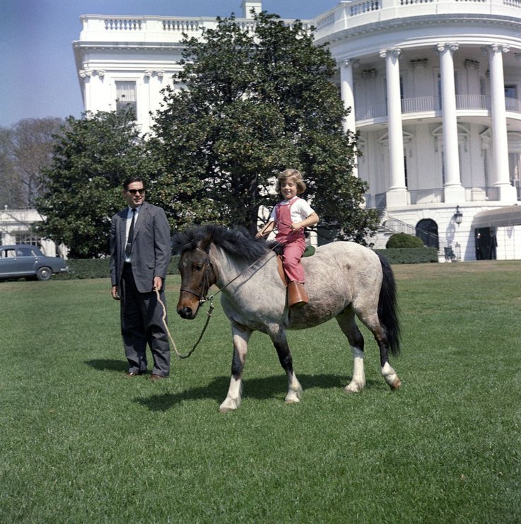 popular-us-presidential-pets