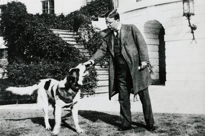 Image result for Roosevelt