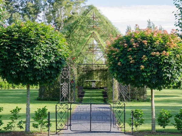 Man makes a church out of trees