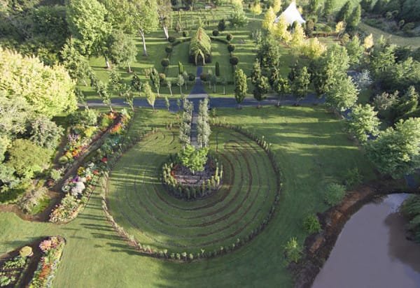 Man builds a church out of trees