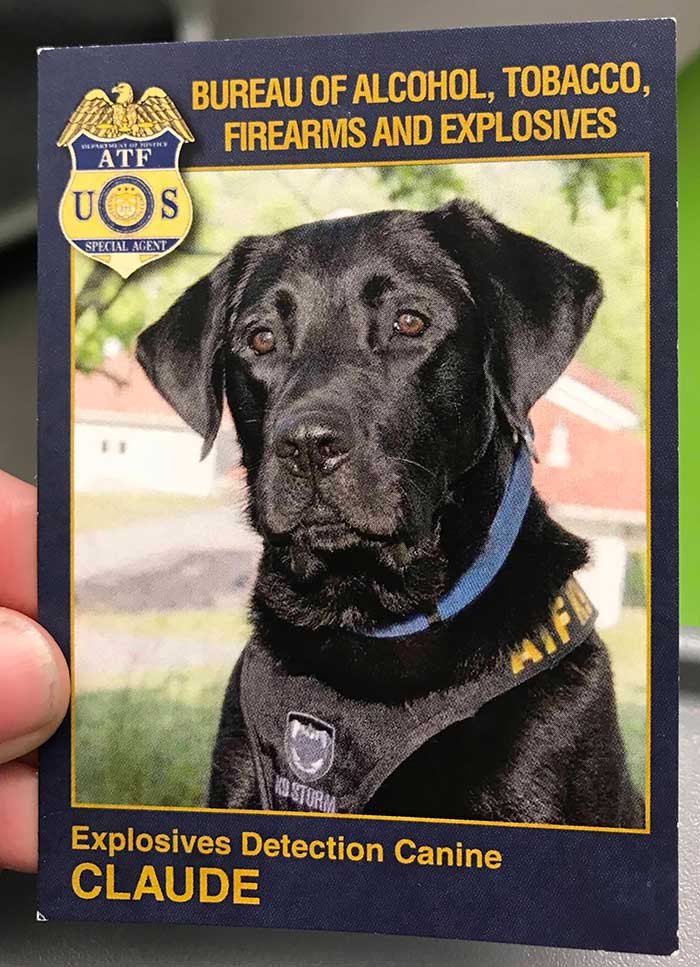 Met A Very Good Boy Today, Complete With His Own Business Cards