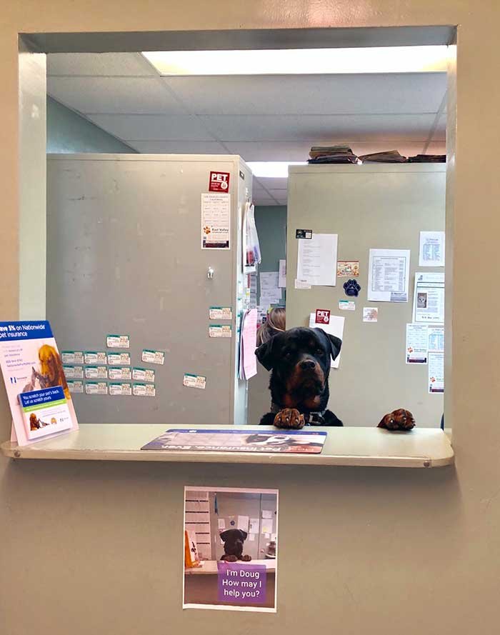 I Took My Dog To The Vet Today And Met This Guy. The Sign Underneath Is The Best Part