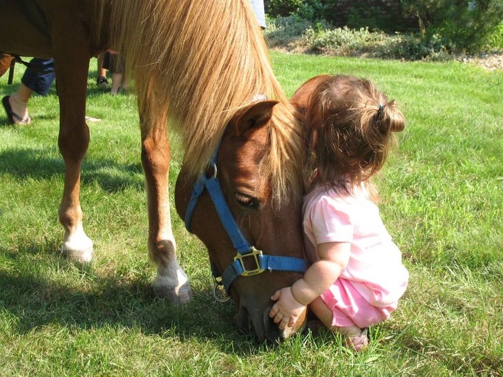 22 Devoted Animals Who’ll Never Run Out of Love
