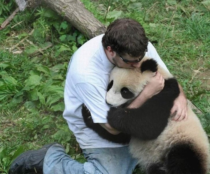 22 Devoted Animals Who’ll Never Run Out of Love