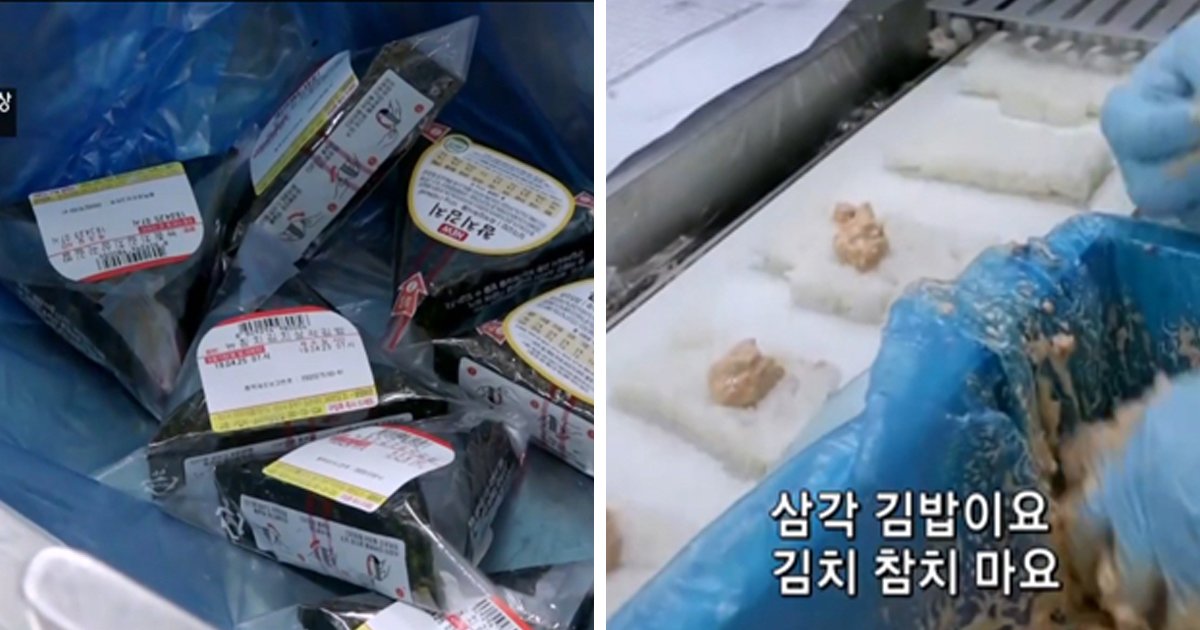 2 50.jpg?resize=1200,630 - 전부 다 손으로 만든다는 '삼각김밥' 공장의 놀라운 모습 (영상)