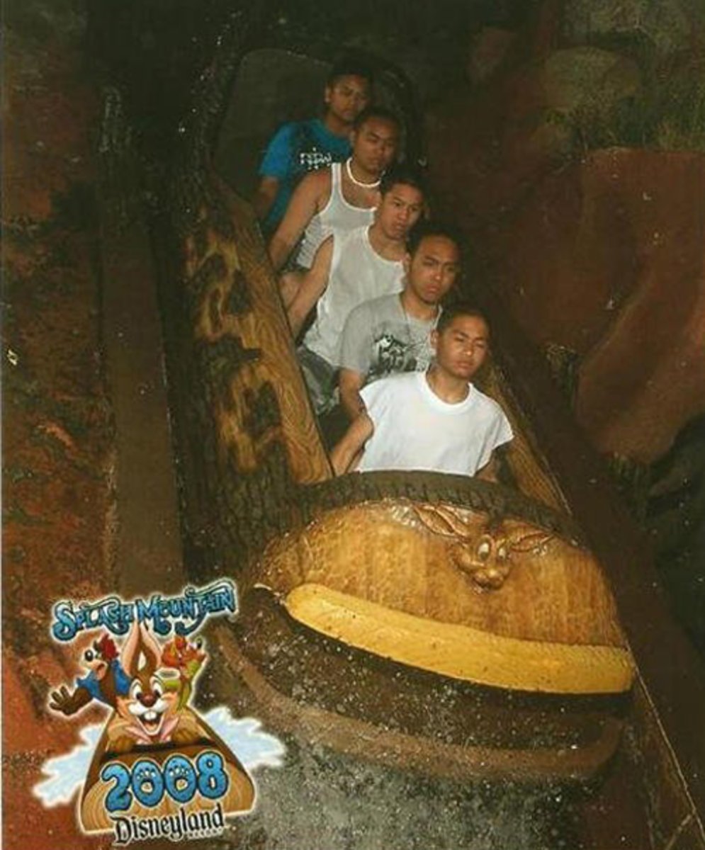 funny roller coaster photos dont care