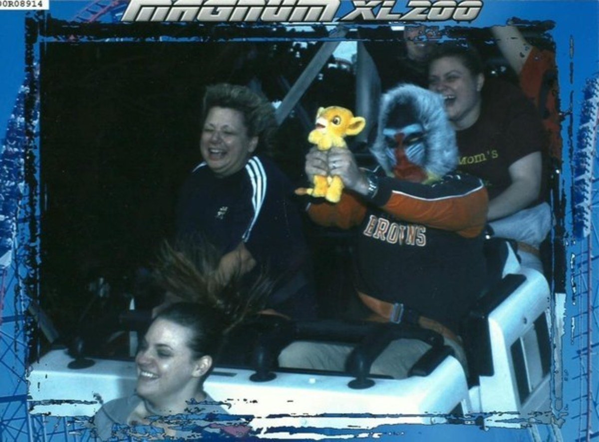 funny roller coaster photos lion king