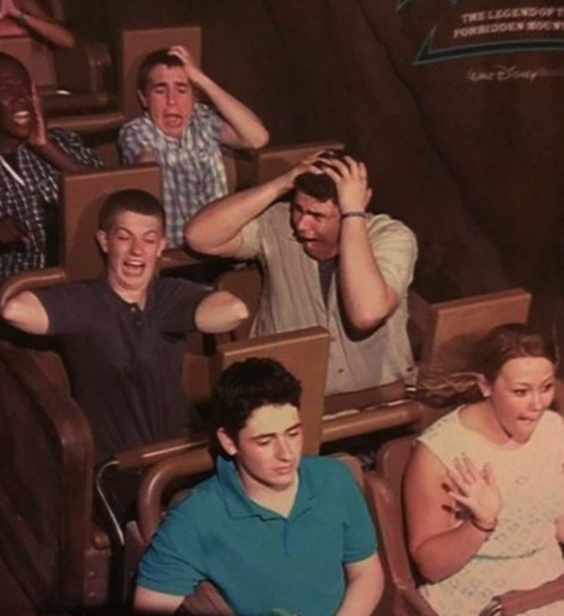 funny roller coaster photos no arms
