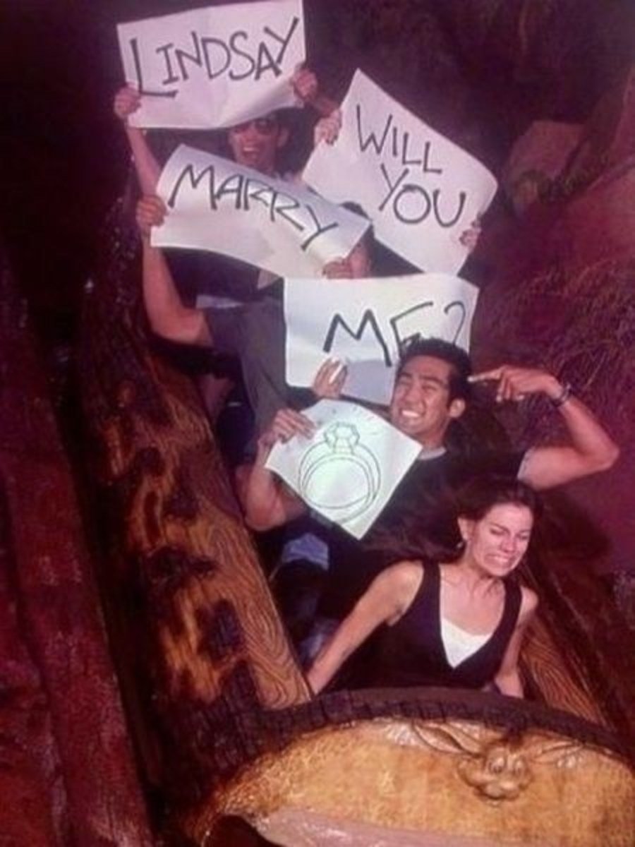 funny roller coaster photos will you marry me