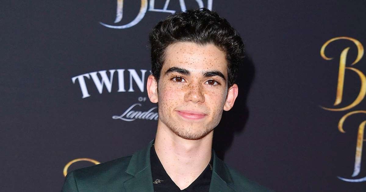 a 14.jpg?resize=412,275 - Disney Star Cameron Boyce's Family Revealed He Passed Of An Epileptic Seizure