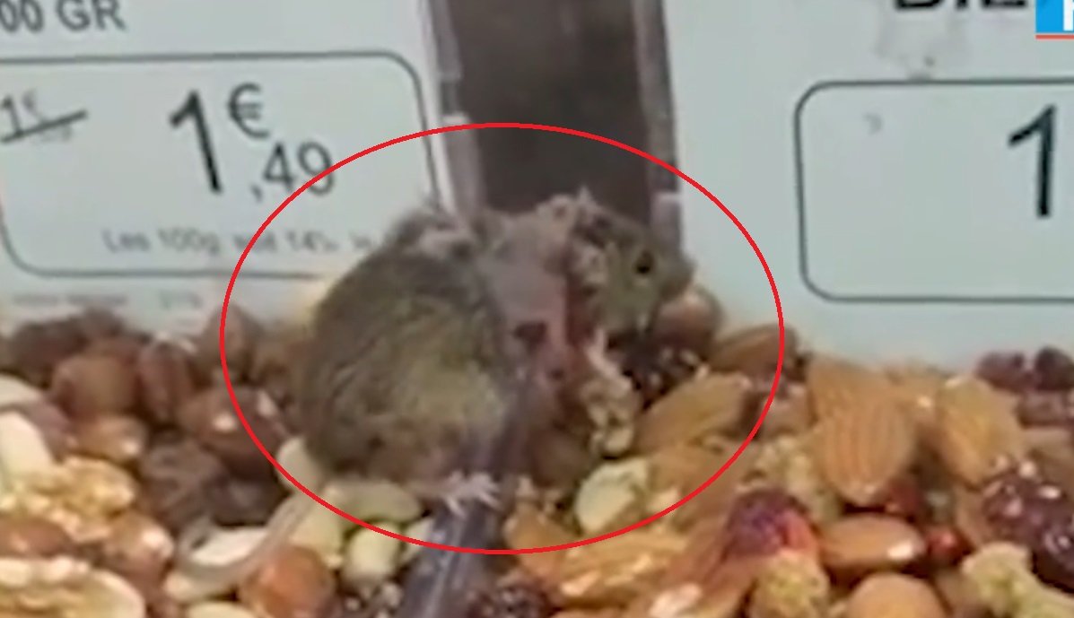 ambulance2 2.jpg?resize=1200,630 - Dans l'Oise, une souris a été filmée en train de grignoter dans un supermarché