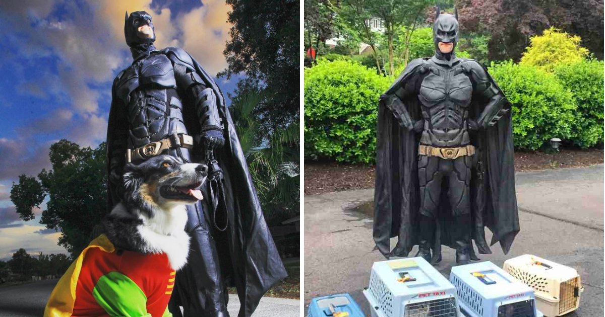 batman6.png?resize=1200,630 - Man Dresses As A Superhero While Saving Shelter Animals From Euthanasia