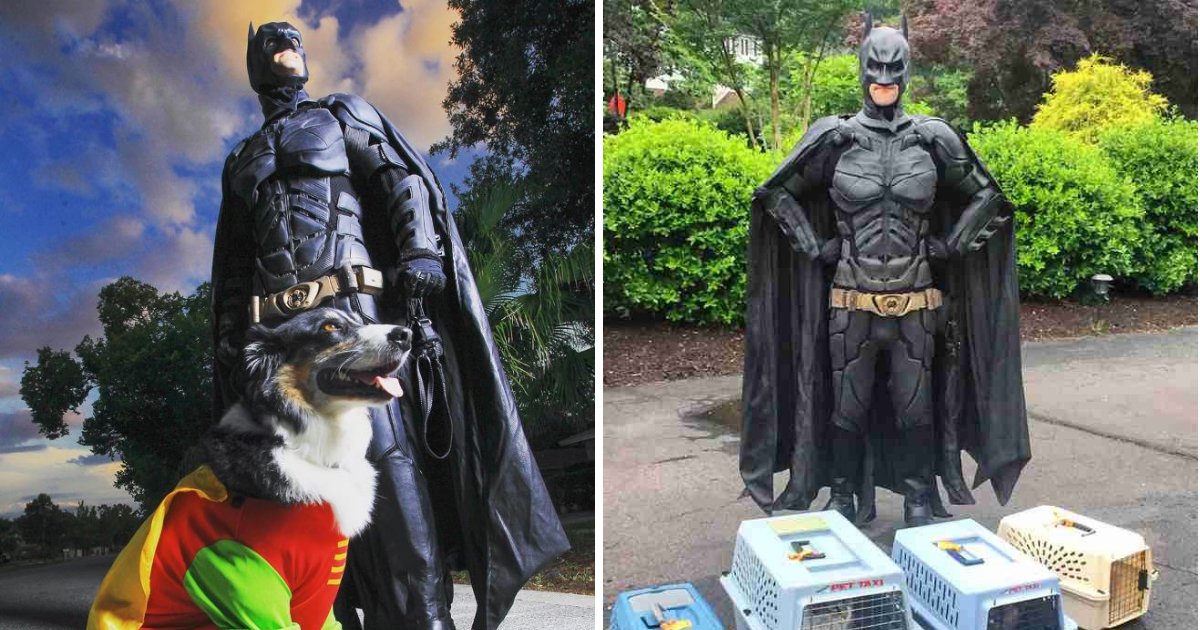 batman6.png?resize=412,275 - Man Dresses As A Superhero While Saving Shelter Animals From Euthanasia