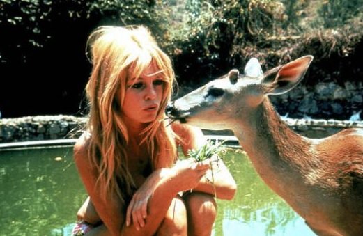 bb.jpg?resize=412,275 - Brigitte Bardot demande à François de Rugy de légiférer sur l'importation des trophées de chasse