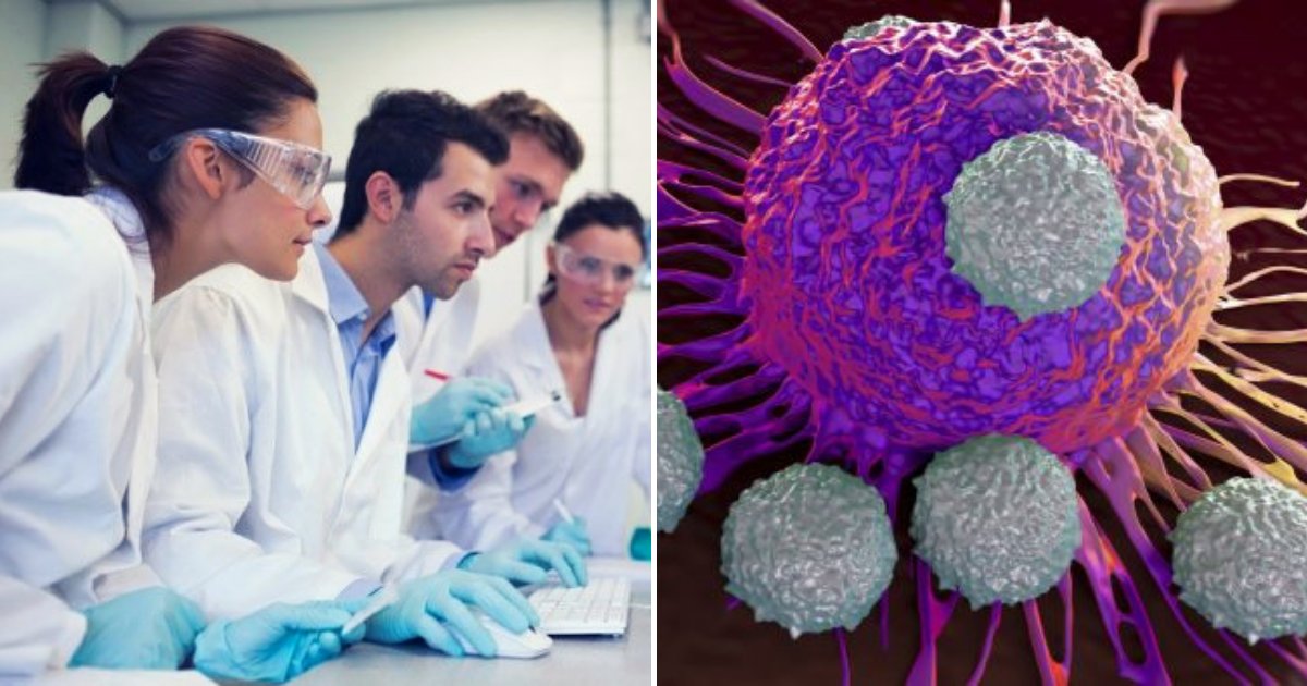 Doctors Develop A 'Trojan Horse' Drug That Can Potentially Trick And ...