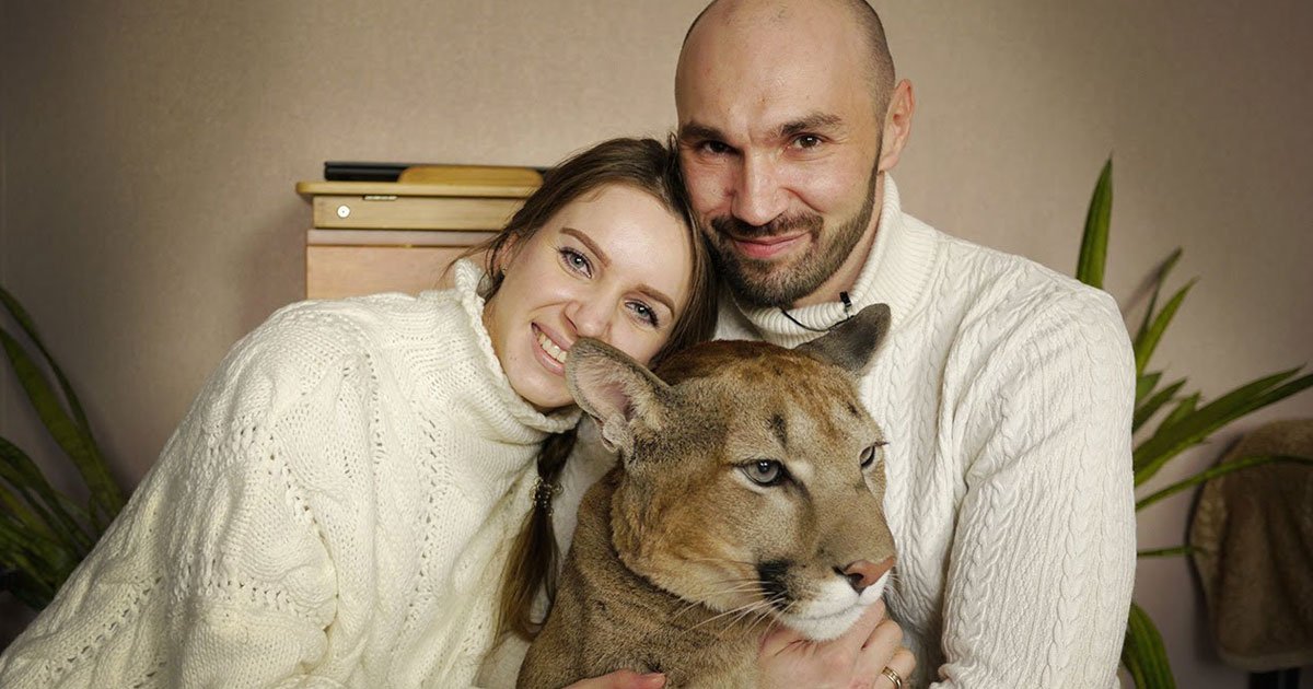 couple lives with cougar 1.jpg?resize=1200,630 - Couple Lives In Their Studio Apartment With Their Two-Year-Old Cougar