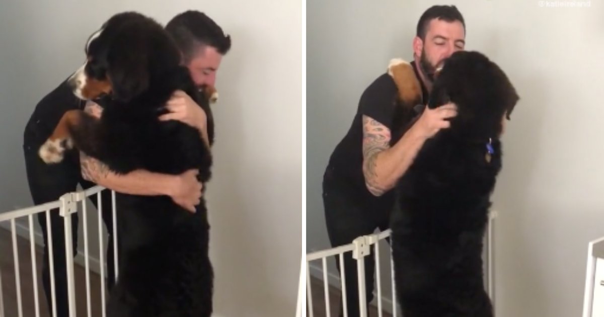 d2 18.png?resize=412,275 - The Dog Gives His Owner a Cute Hug