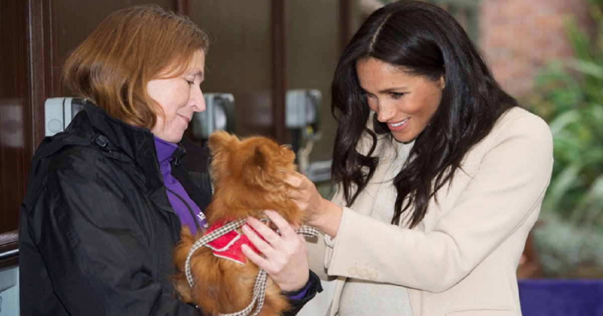 d3 3.jpg?resize=1200,630 - Prince Harry And Meghan Markle Are Looking To Hire A Professional Dog Walker For Their Dogs