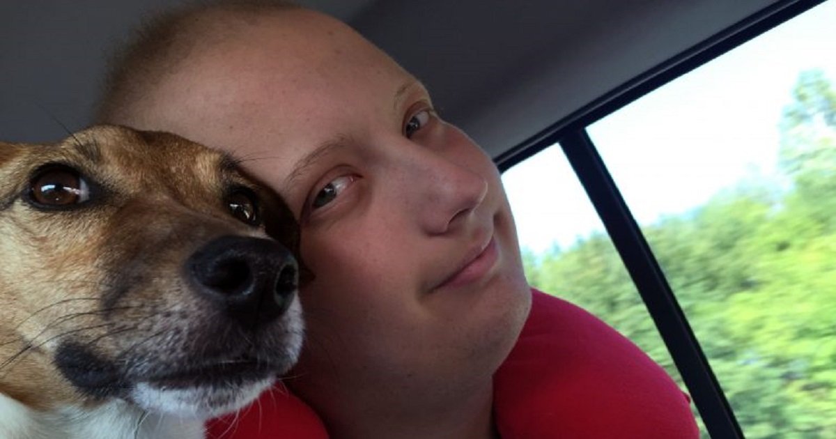 d3 5.jpg?resize=412,232 - A Dog Will Walk 177 Miles To Honor Her Autistic Owner Who Died Of Cancer At Age 17