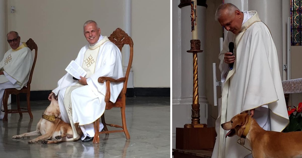 d4 13.png?resize=412,275 - A Lost Dog Walks In Crashing Sunday Mass But The Priest's Reaction Was Perfect