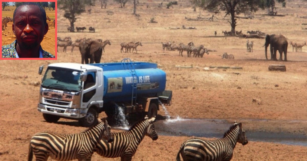 d5 9.png?resize=1200,630 - A Generous Man Brings Loads of Water for the Animals Who are Suffering Because of Drought